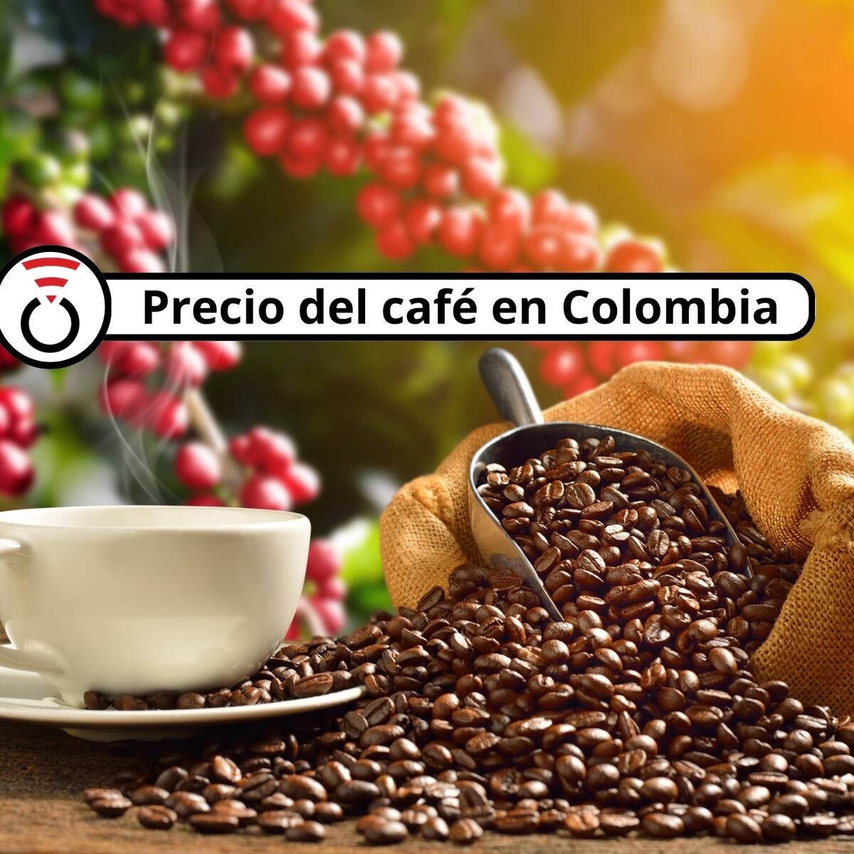 Precio del café en Colombia HOY 30 de junio según la FNC: Gran alza de cargas, kilos y arrobas