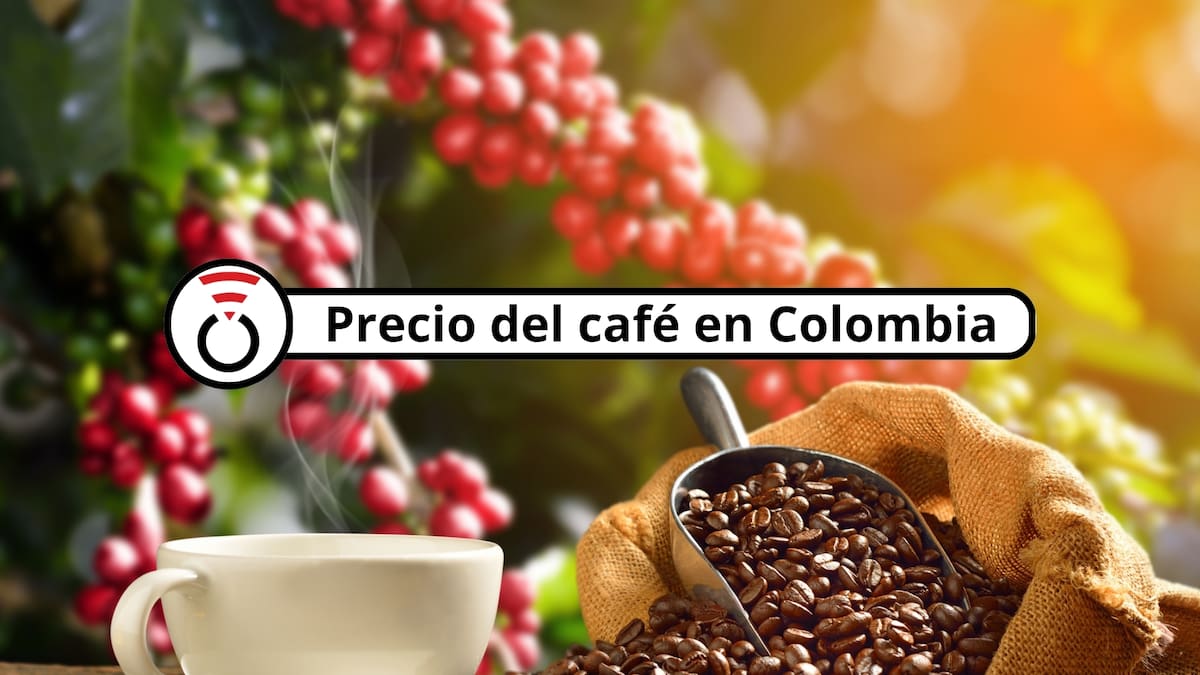 Precio del café en Colombia HOY 30 de junio según la FNC: Gran alza de cargas, kilos y arrobas
