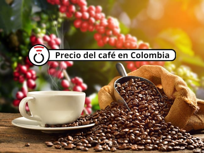 De fondo: Cafetos dando frutos. Adelante se encuentra una taza de café junto a los granos tostados (Crédito: Getty Images)