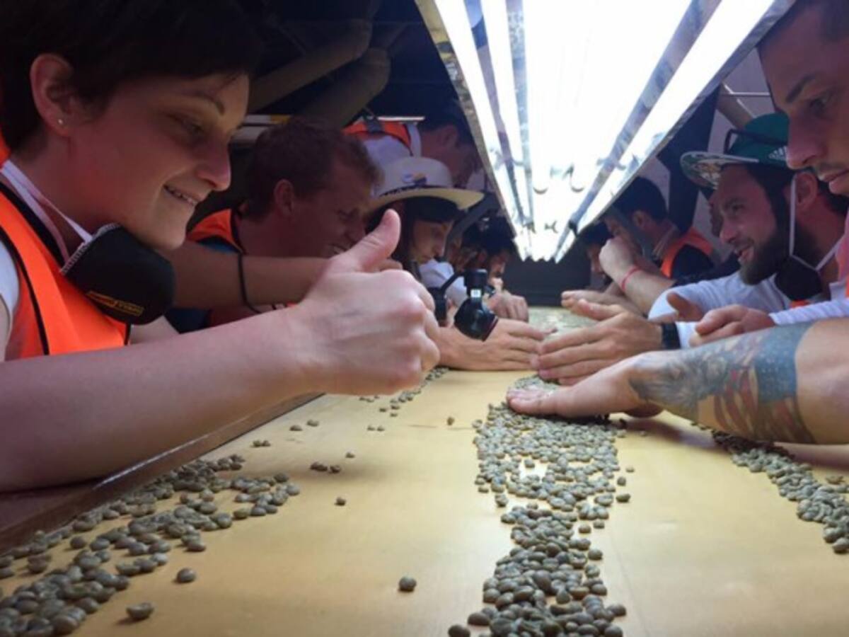 En el 2017, comenzaría a operar el Fondo de estabilización de precio del café