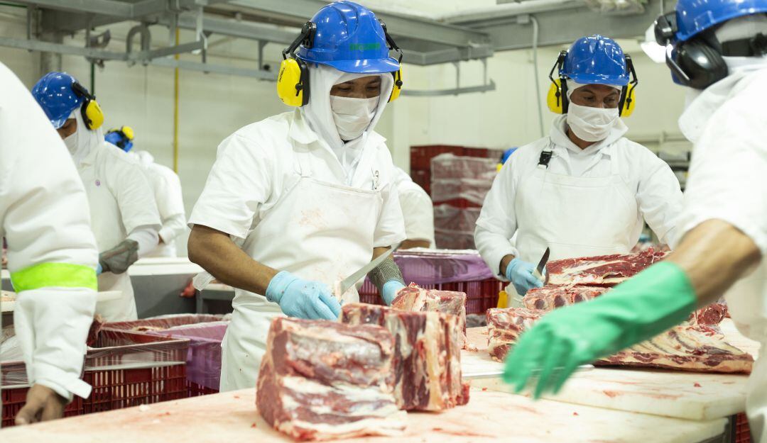 Planta de beneficio y desposte carne vacuna