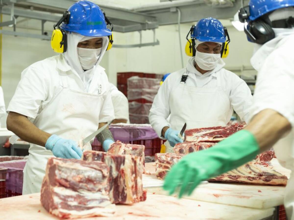 Guadalupe, Santander, tendrá planta de beneficio animal