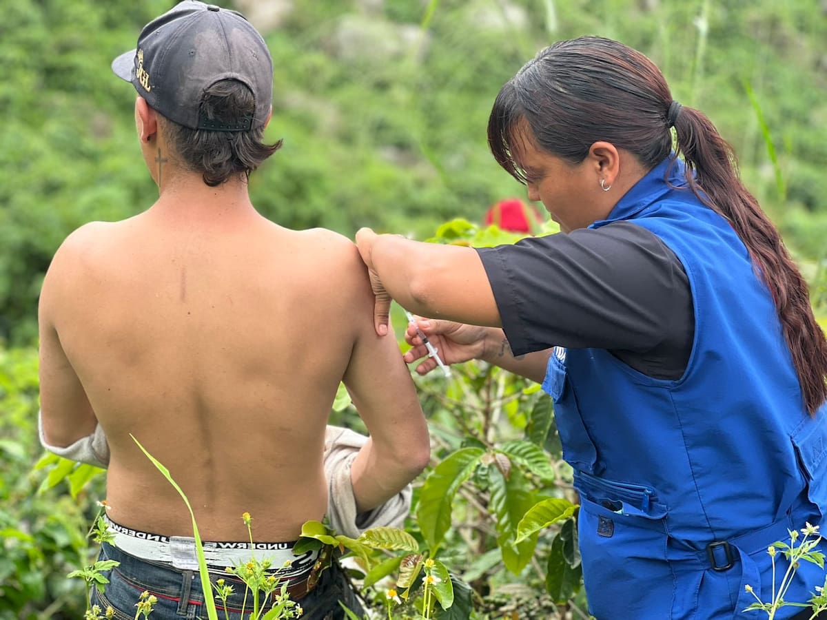 Fiebre Amarilla: Emiten alerta de salud pública en Ibagué