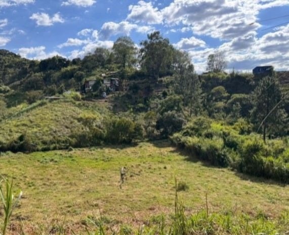 Masacre en zona rural de Popayán: Al menos seis personas fueron asesinadas al interior de una finca