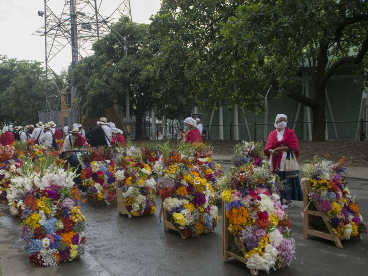 Inconformidades del Desfile de Silleteros llegan al concejo de Medellín