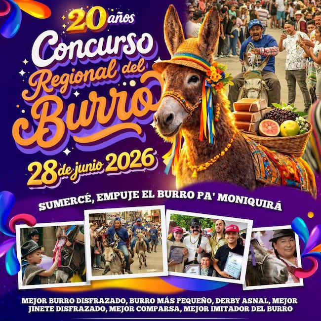 El Concurso Regional del Burro en Moniquirá, llega a su versión número 20 este domingo 28 de junio.
