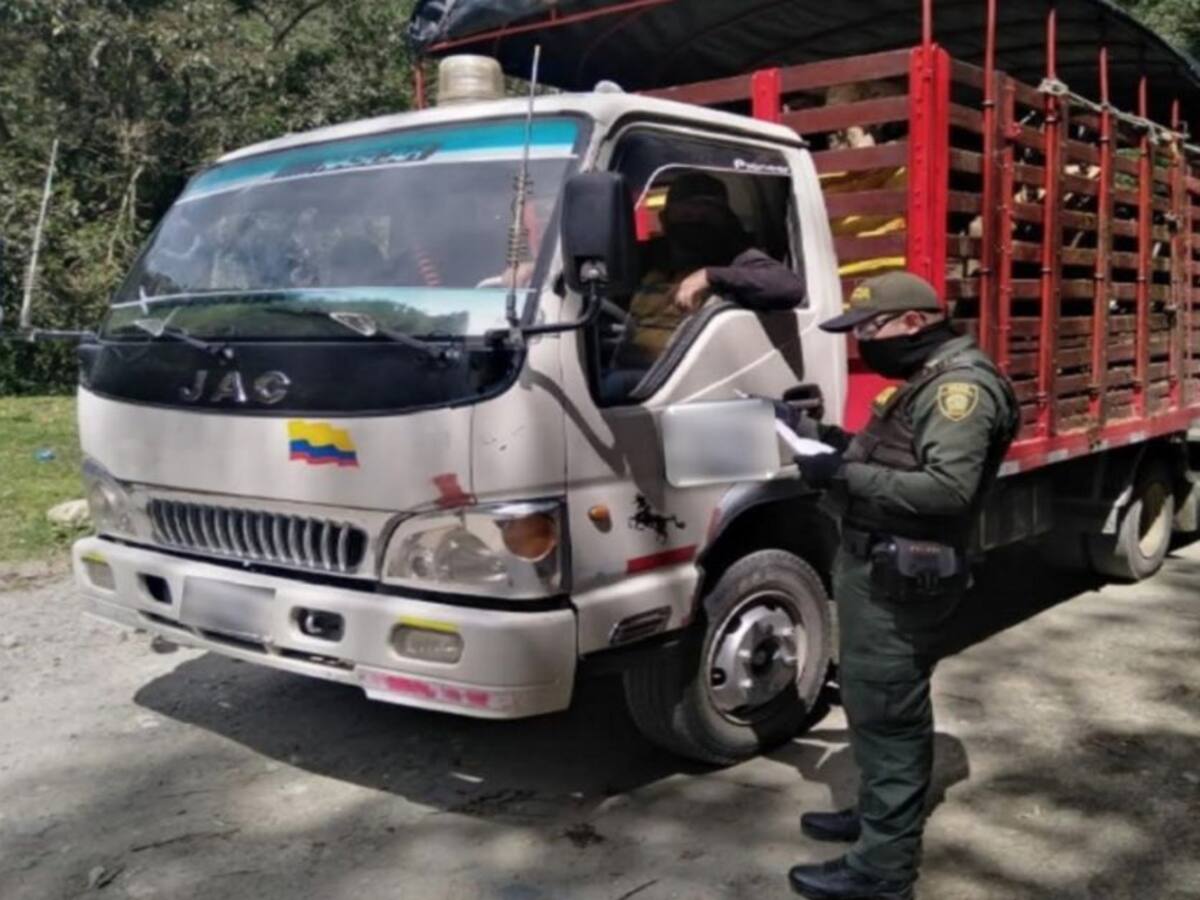 En Caldas aumentan controles para evitar el tráfico de animales
