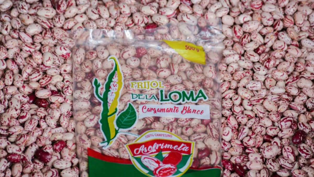 Fríjol fortificado, para una bandeja paisa más nutritiva