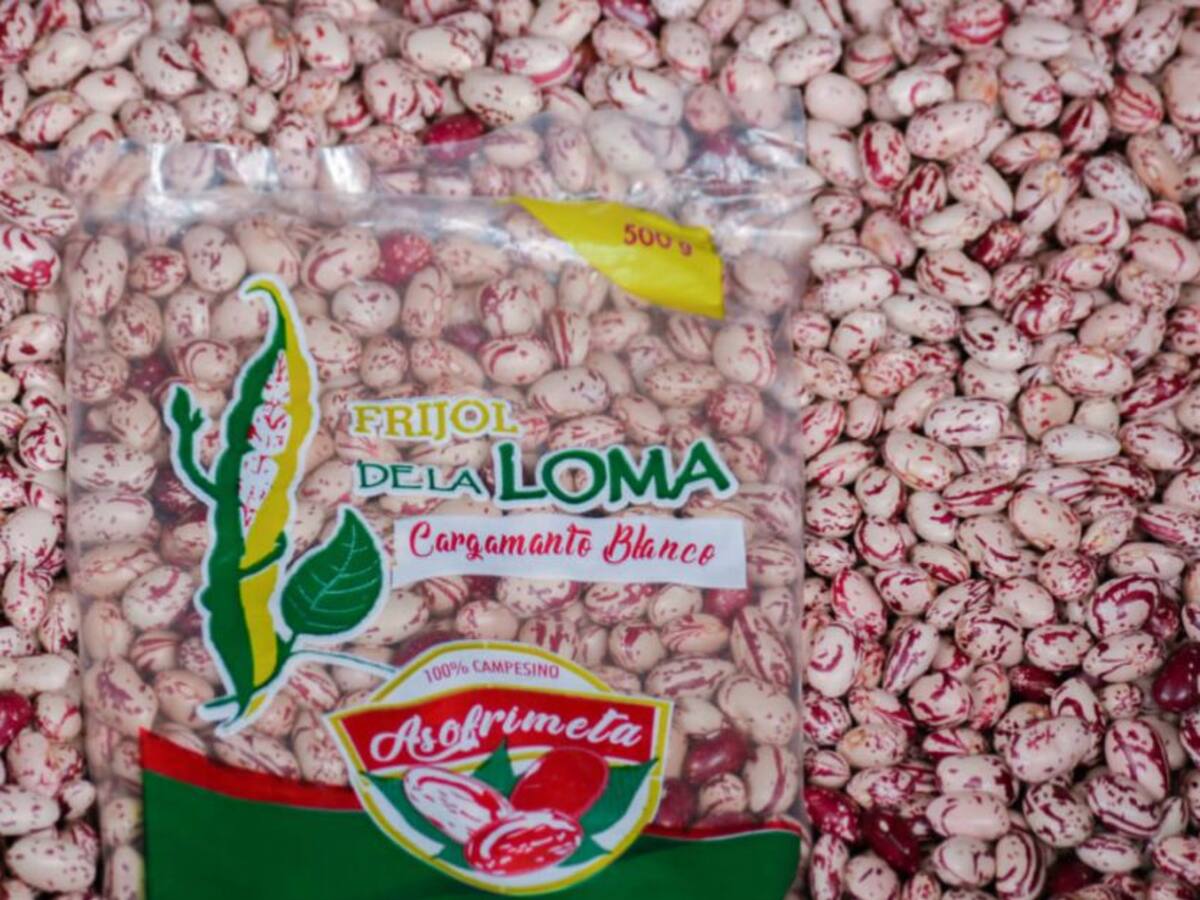 Fríjol fortificado, para una bandeja paisa más nutritiva