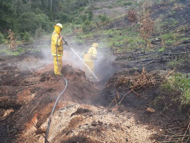 Incendios forestales afectan 16 hectáreas diarias en Cundinamarca