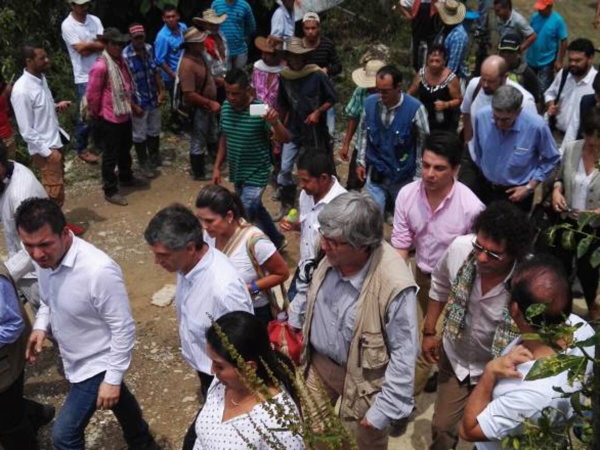 Campesinos cocaleros piden garantías para enfrentar la erradicación