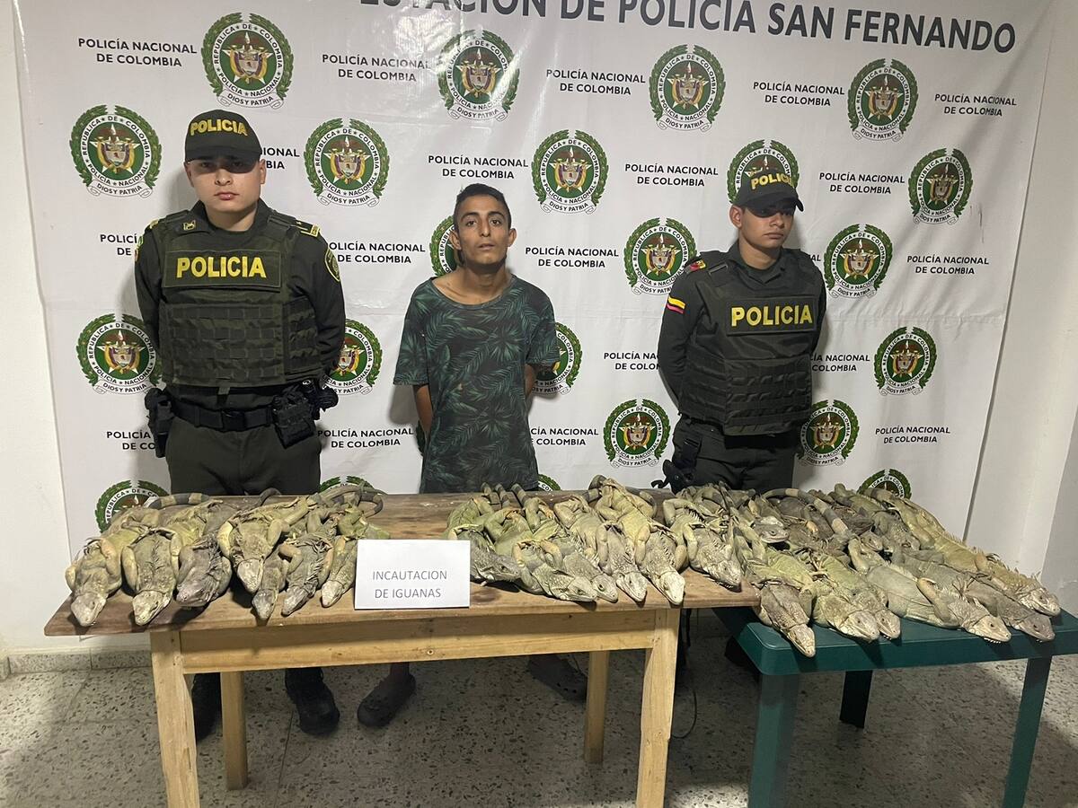 Capturan a un hombre que pretendía comercializar 30 iguanas en San Fernando, Bolívar
