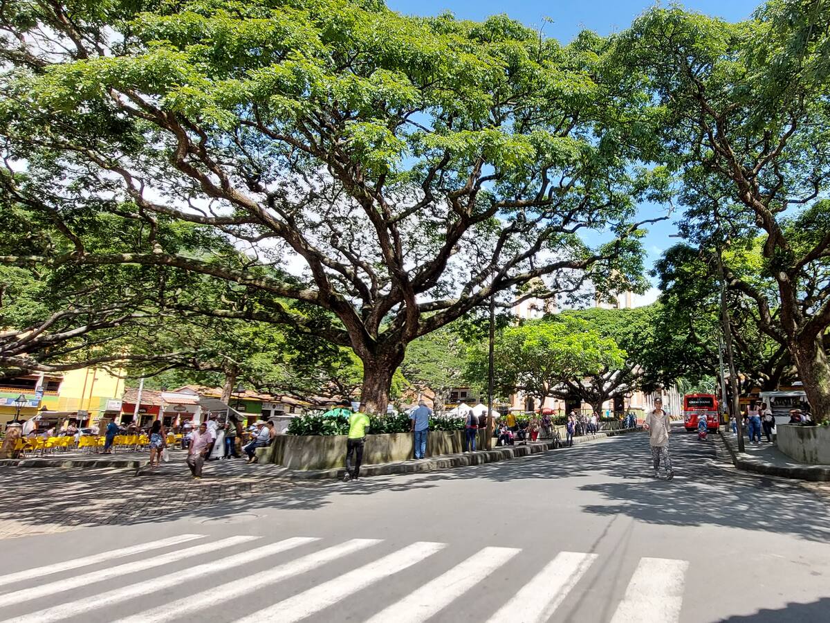 Una niña indígena murió atropellada en Ciudad Bolívar, Antioquia