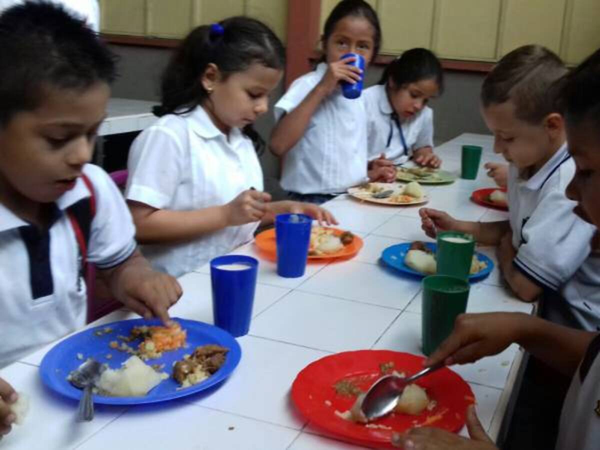 Sin PAE no se puede hablar de calidad educativa: estudiantes Armenia