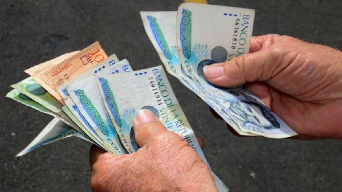 Procuraduría profirió cargos a ex secretario de Hacienda de Baraya, Huila