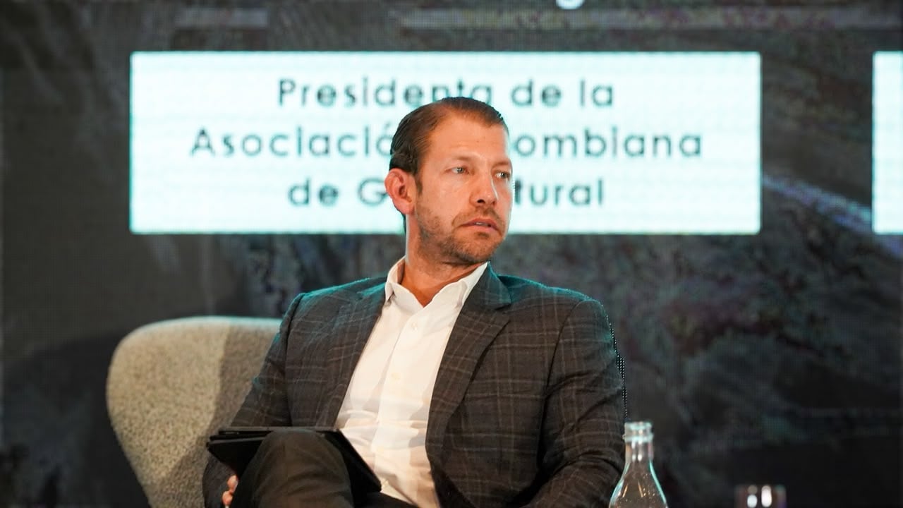 José Armando Cuello, viceministro designado de Minas y Energía. | Foto: Caracol Radio