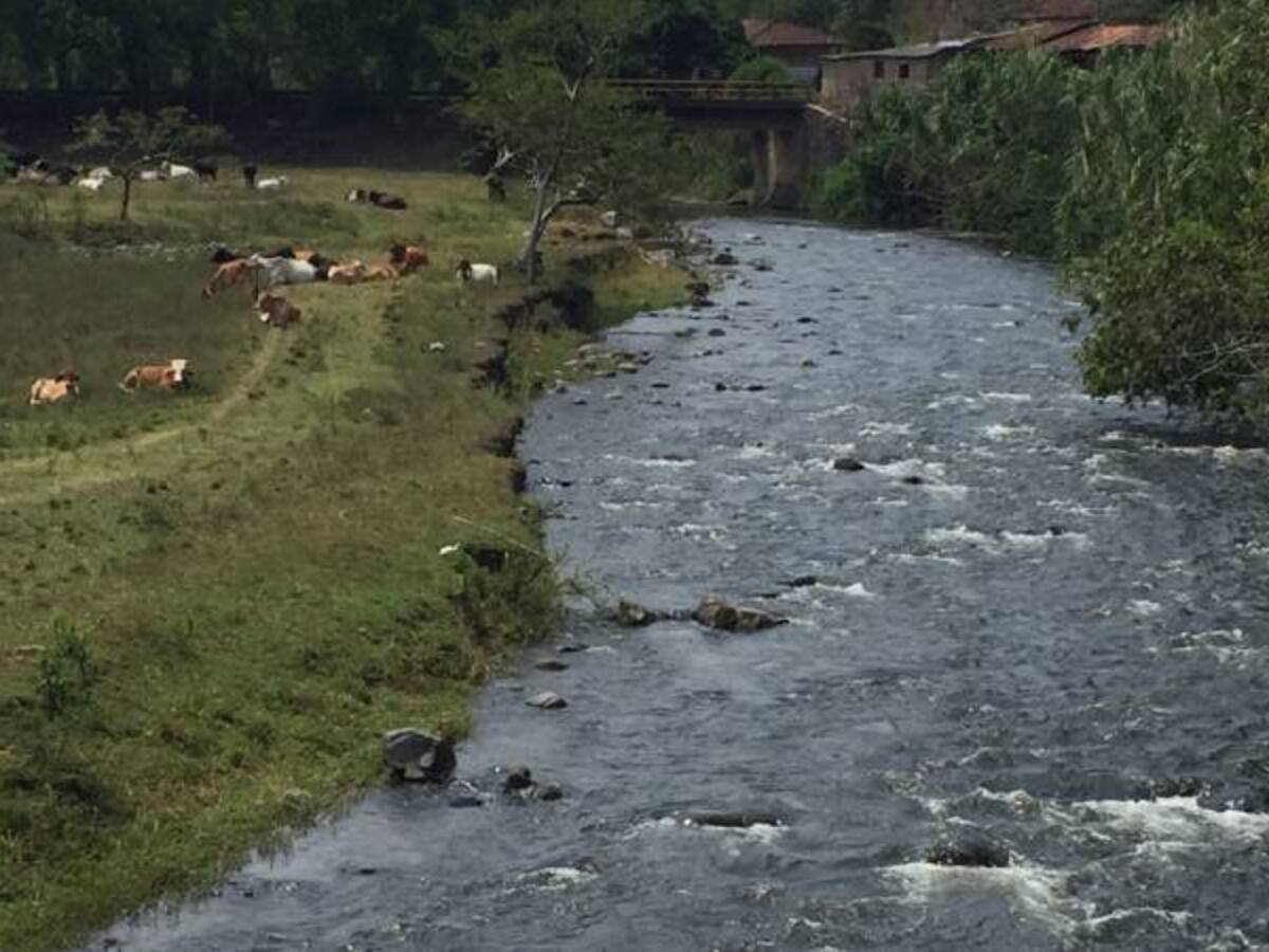 13 mil millones de pesos se invertirán en el campo de Risaralda