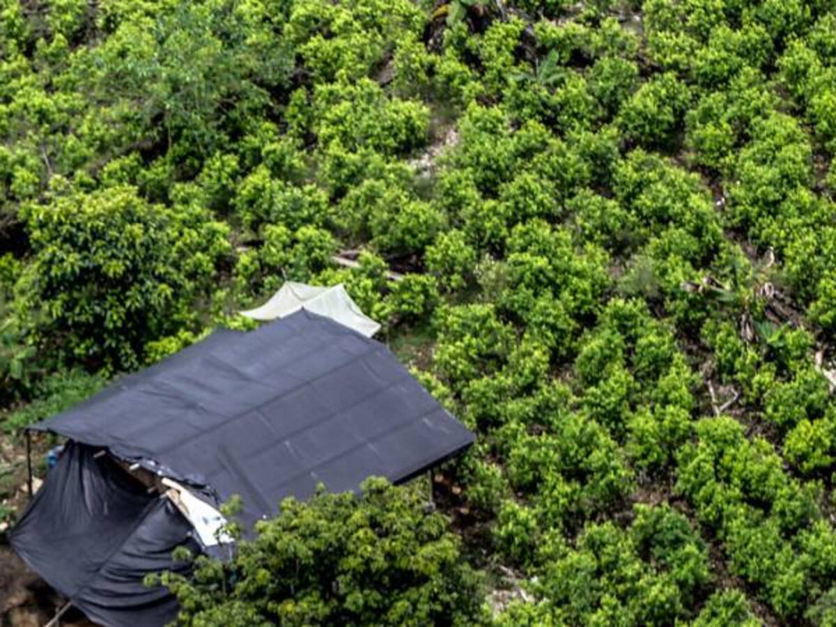 El Gobierno no cumple con los acuerdos: víctima en el Guaviare