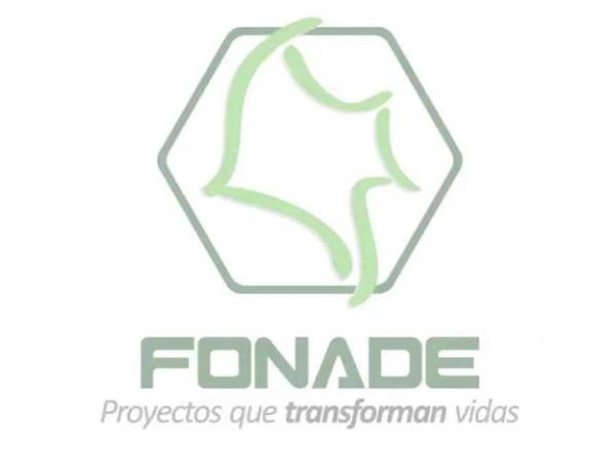 Designado Jean Philippe Pening como el nuevo director de Fonade