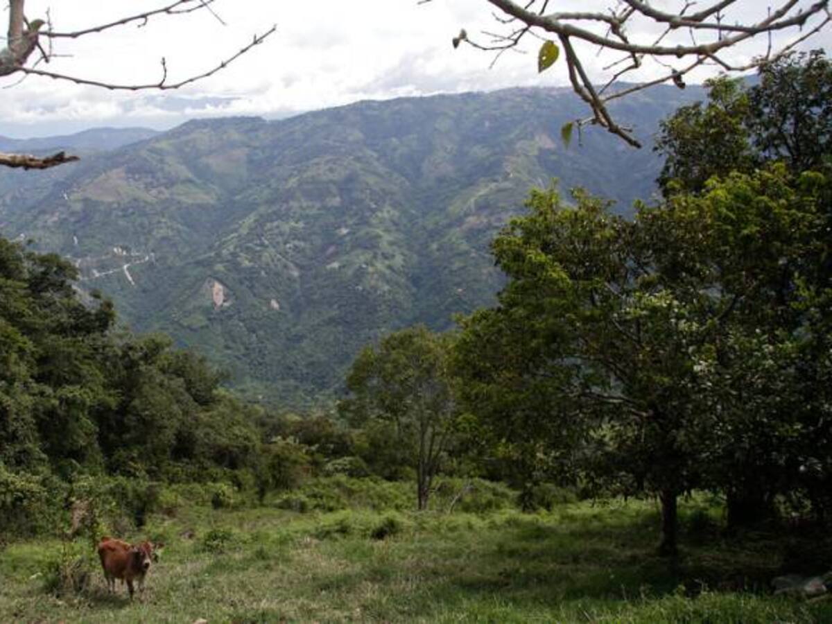 Luz verde a reforma rural integral