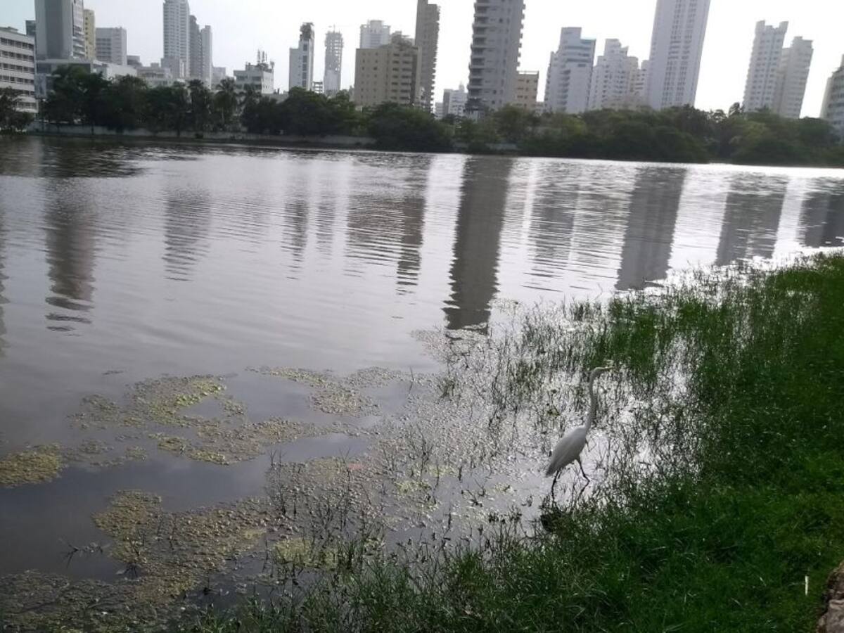 En Cartagena, El Laguito sigue sin tener una motobomba
