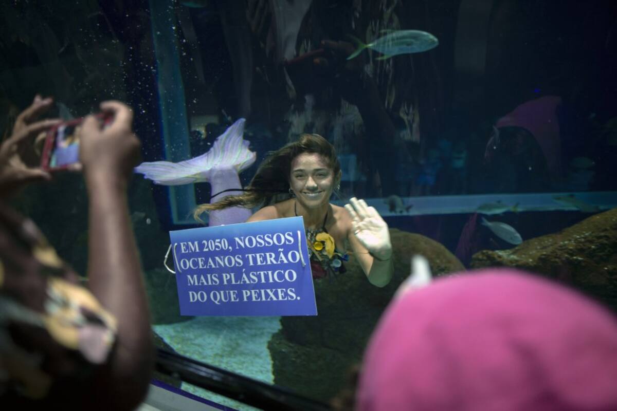 Mensajes: "La basura es la gran villana de los mares" y "Usted es responsable de su basura", dicen algunos de ellos.