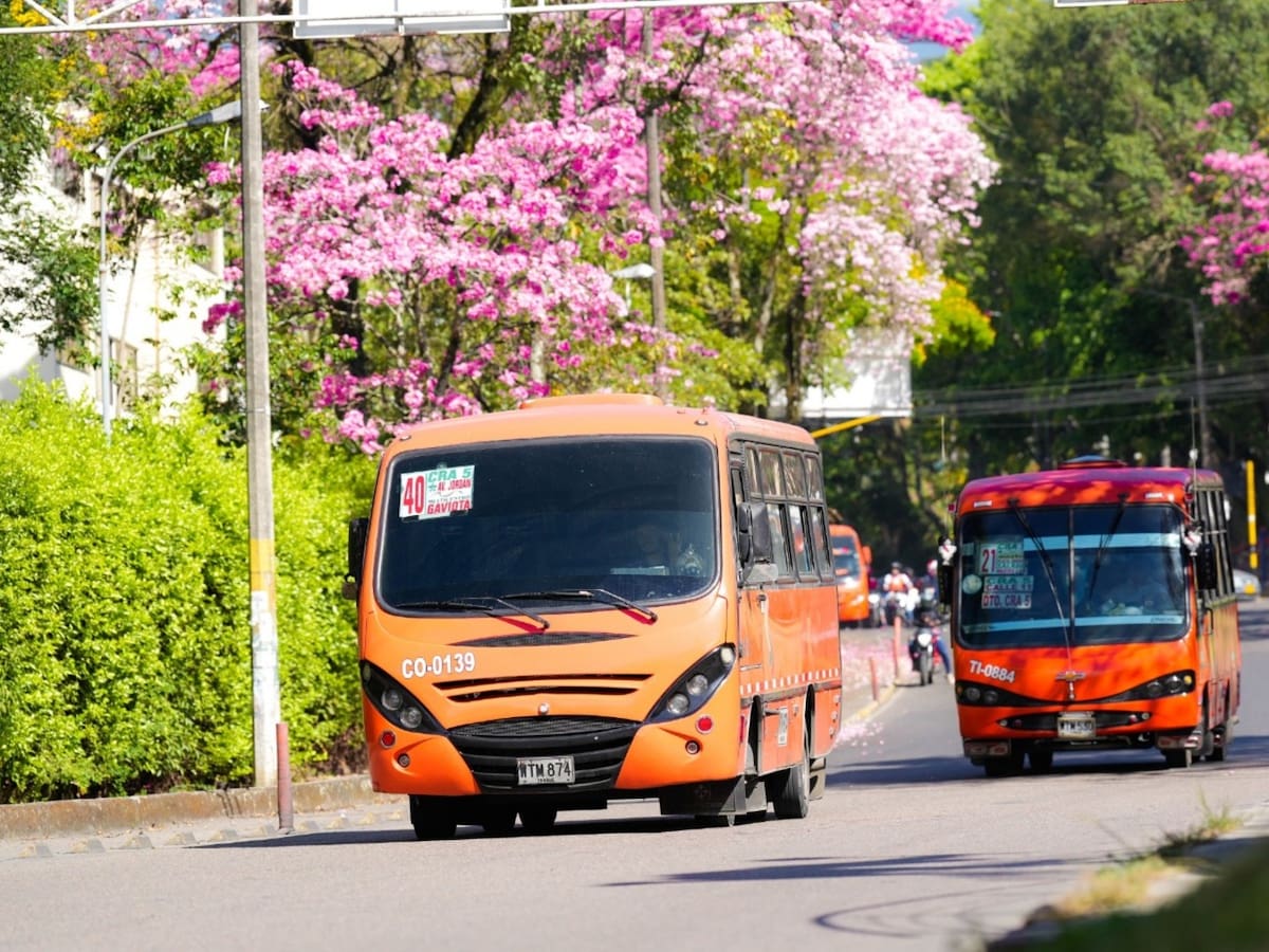 Con la implementación del SETP podrían salir de operación 378 busetas en Ibagué