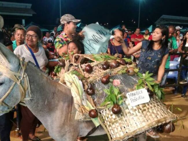 Un burro ambientalista ganó el Festival de San Antero