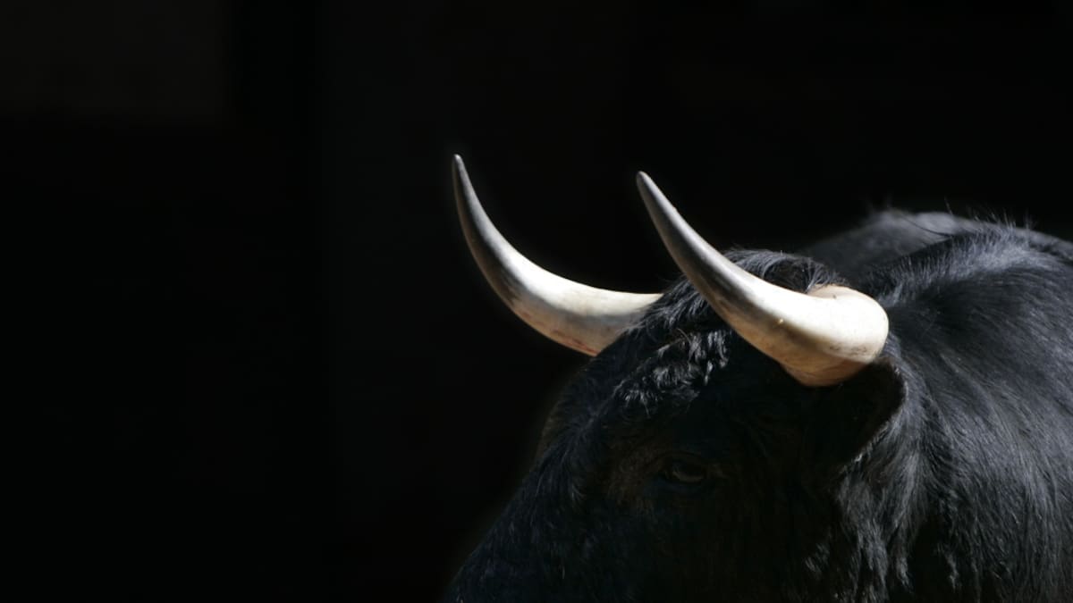 Video: corridas de toros en honor al COVID-19 en El Retén, Magdalena