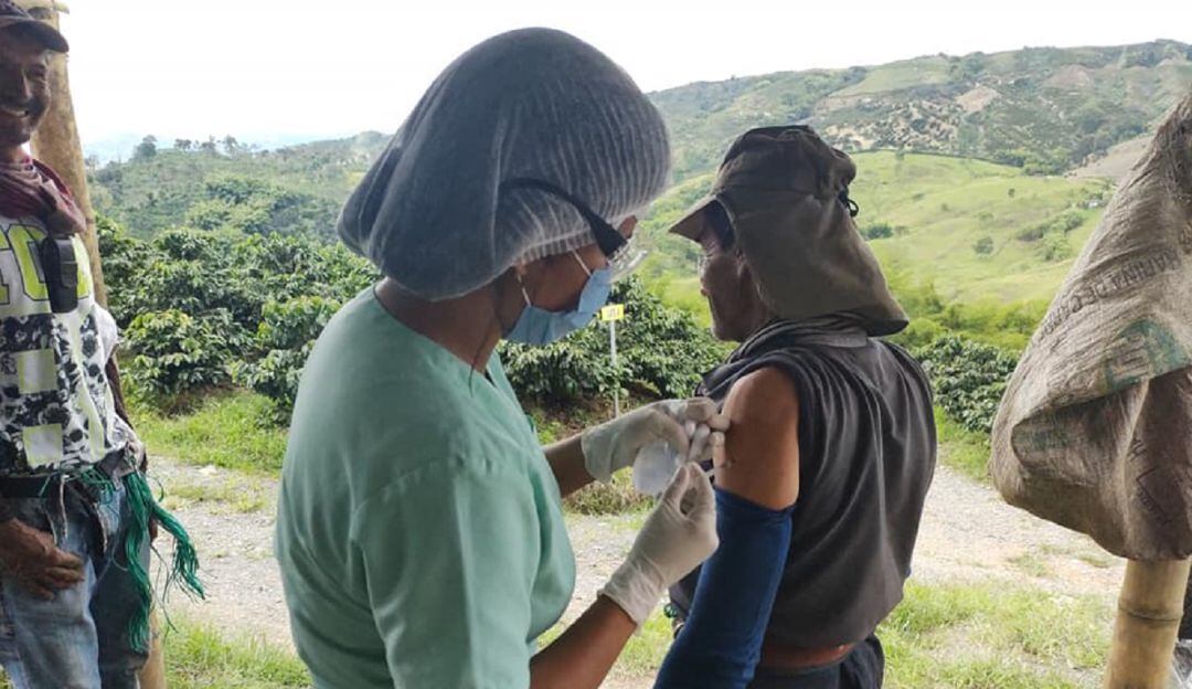 Vacunación recolectores de café
