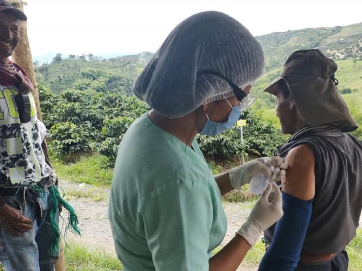 En Palestina se vacuna a los caficultores en la zona rural