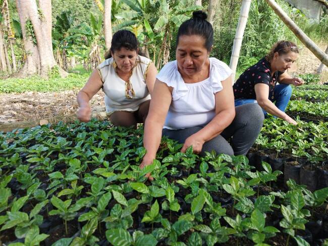El departamento del Huila comprometido con la Festival del Café, Cacao y Agroturismo