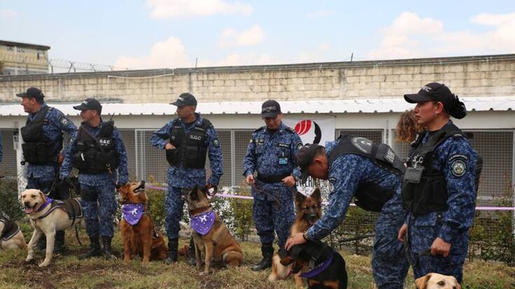 Los perros de la cárcel El Buen Pastor