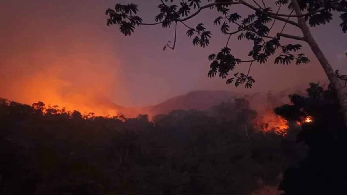 Gobierno despliega acciones urgentes ante oleada de incendios en Colombia