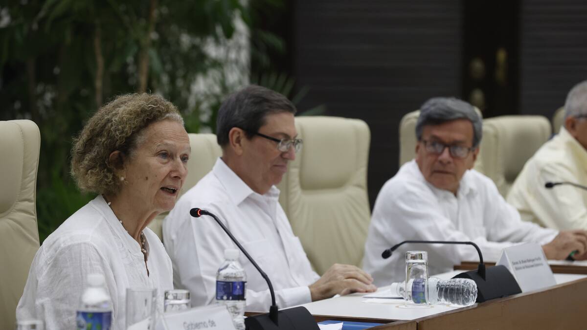 No se financiará la guerrilla, es para actividades de paz: jefa negociadora con el ELN