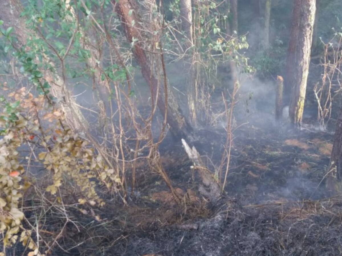 Incendio deja una persona muerta en Nariño