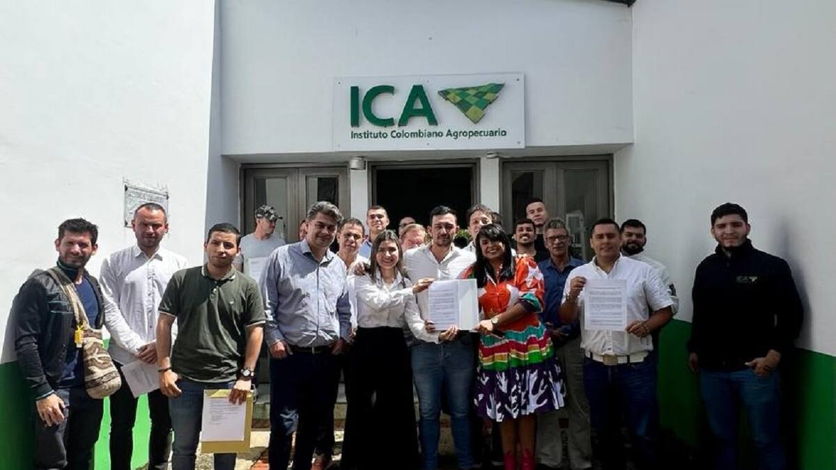 En el Tolima buscan crear la cadena productiva de Cannabis