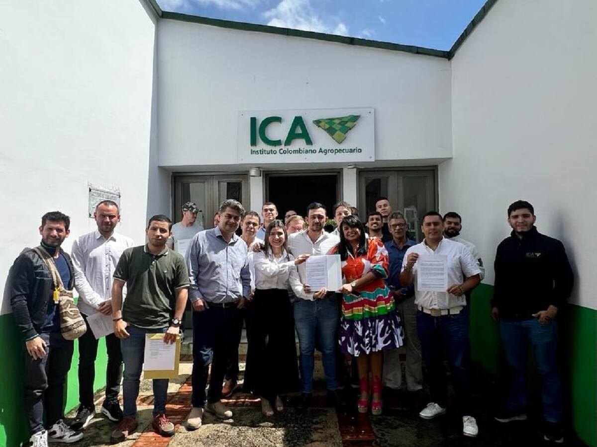 En el Tolima buscan crear la cadena productiva de Cannabis