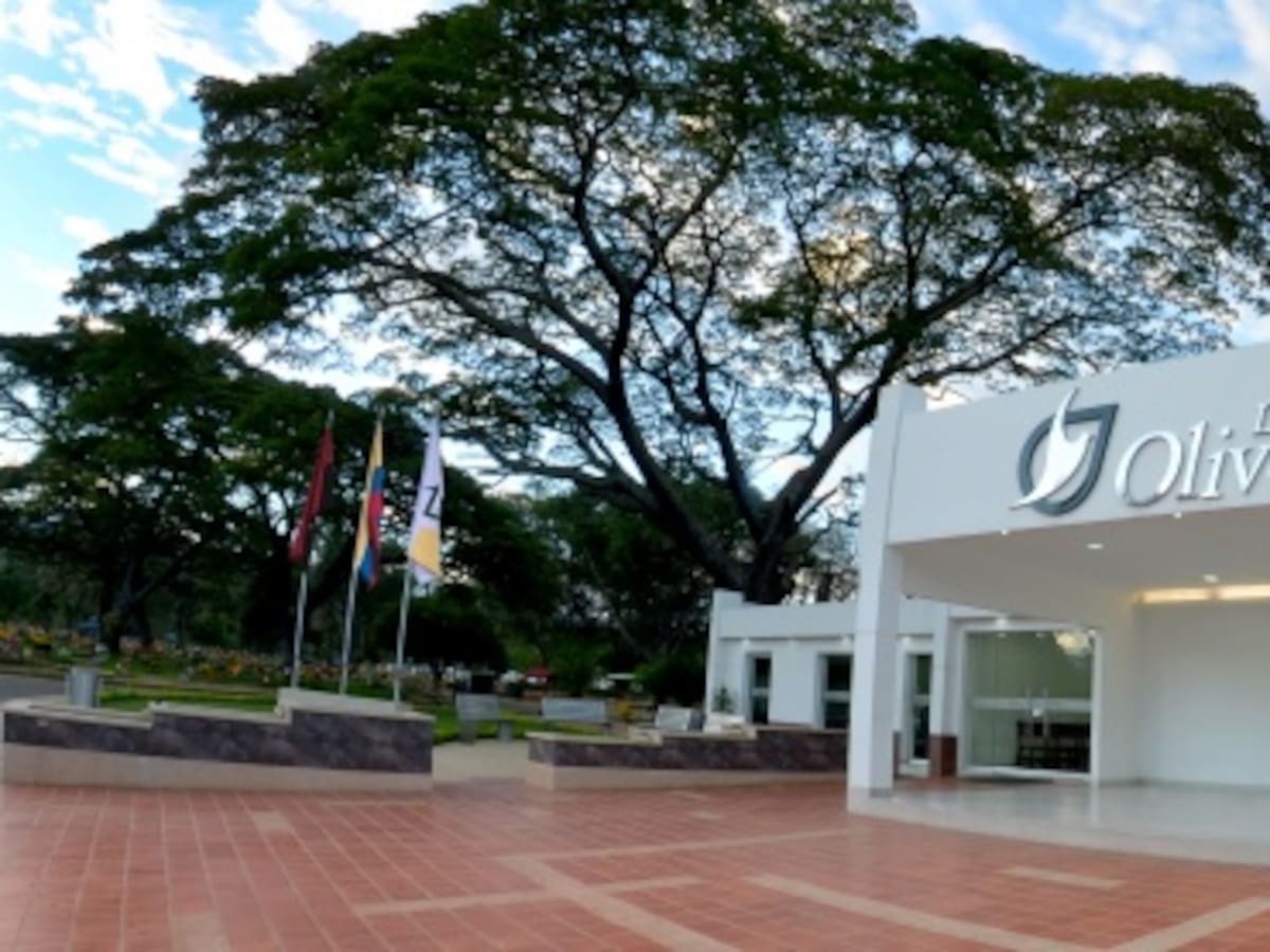 Los Olivos implementa homenaje al amor para las mascotas