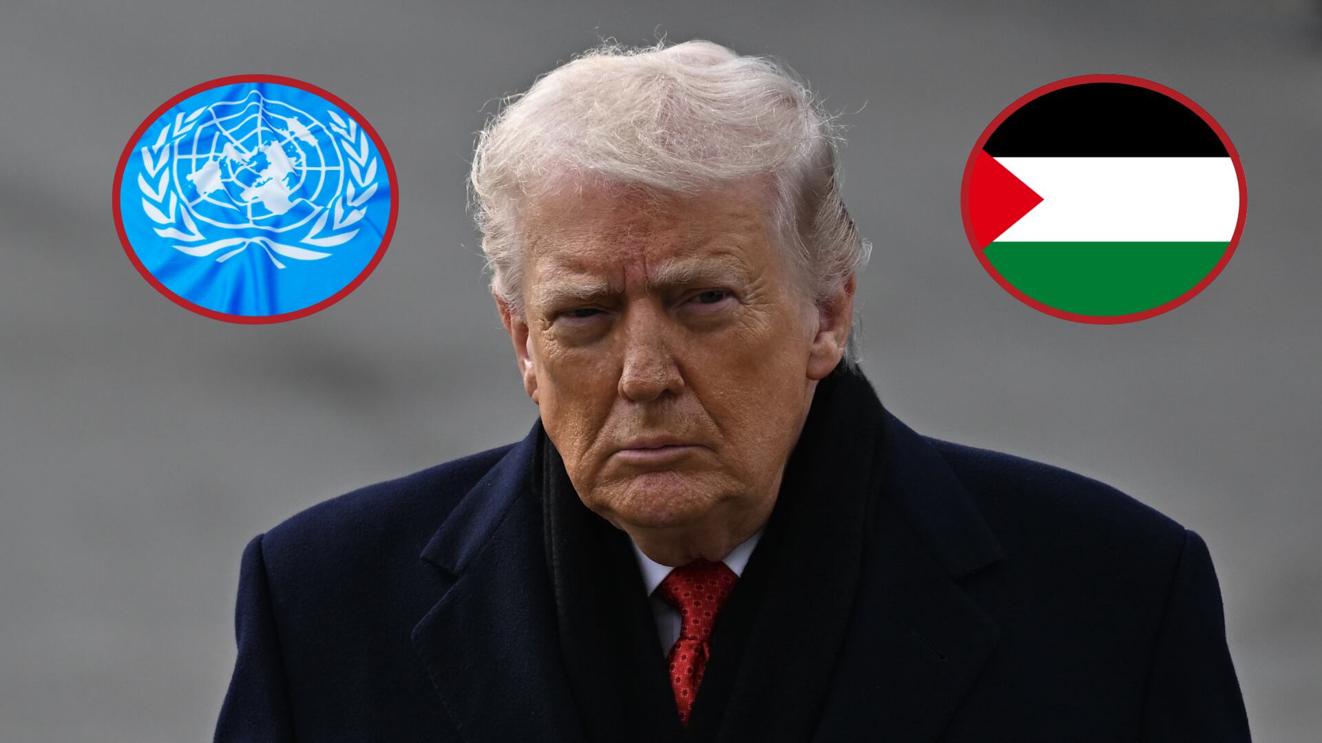 Donald Trump. Foto:  Celal GunesPalestina. ONU. Fotos. Getty Images.