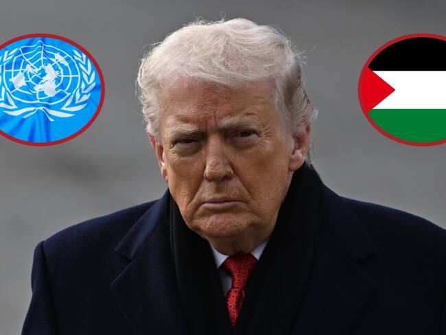 Donald Trump. Foto: Celal GunesPalestina. ONU. Fotos. Getty Images.
