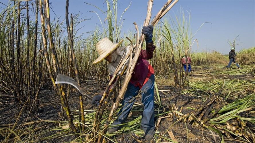 Asocaña rechazó agresiones a militares en Corinto, Cauca. Foto: Getty Images