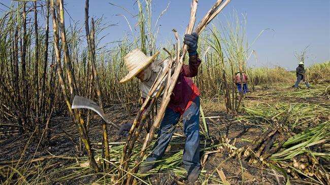 Asocaña rechazó agresiones a militares en Corinto, Cauca. Foto: Getty Images
