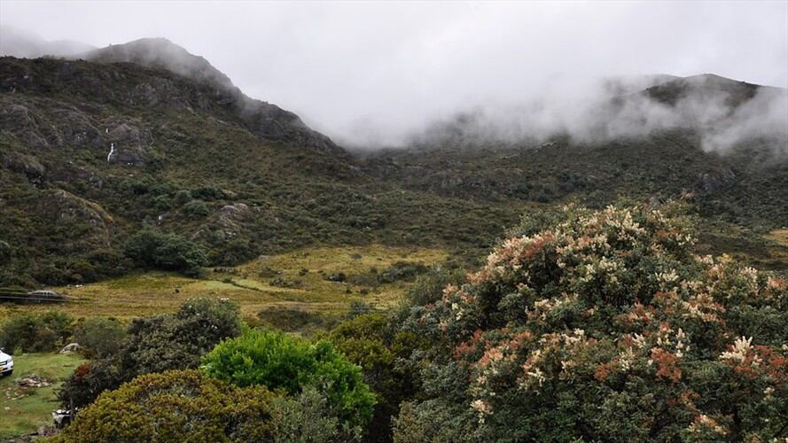 Piden a la Anla suspender entrega de licencias ambientales en el páramo de Santurbán. Foto: Colprensa
