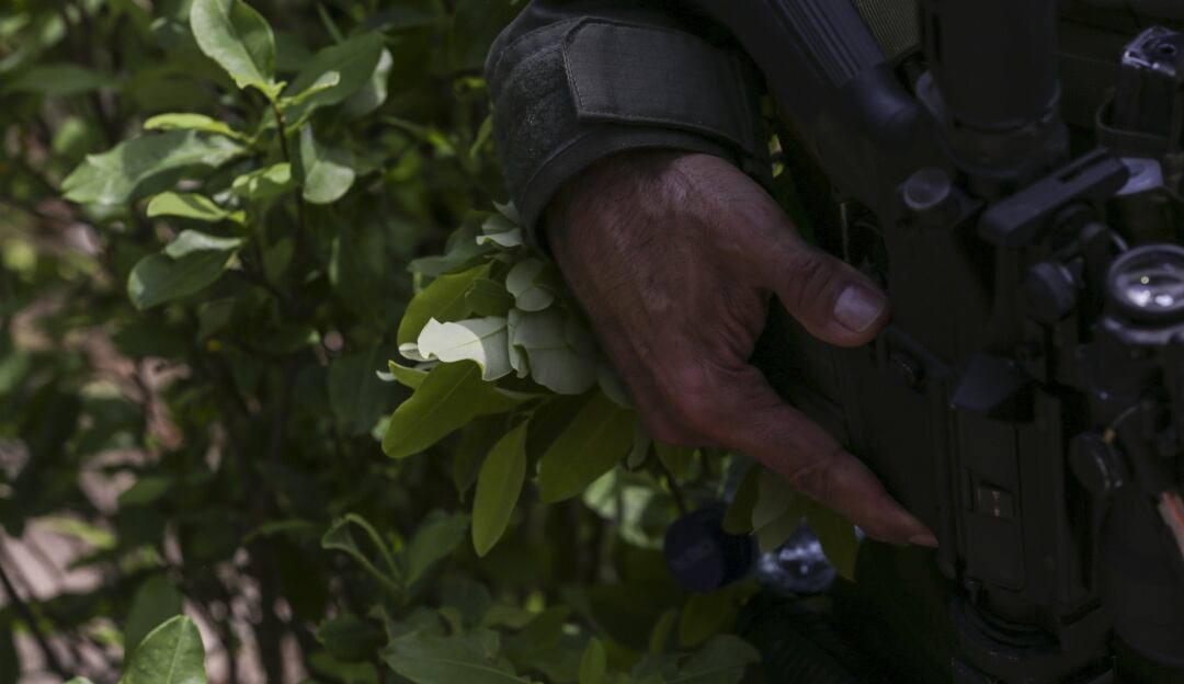 ELN foto de referencia 