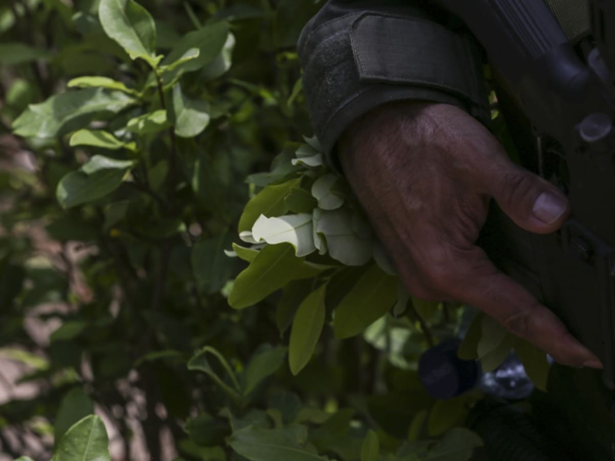 Fuertes combates entre disidencias de las FARC y el ELN en Arauca