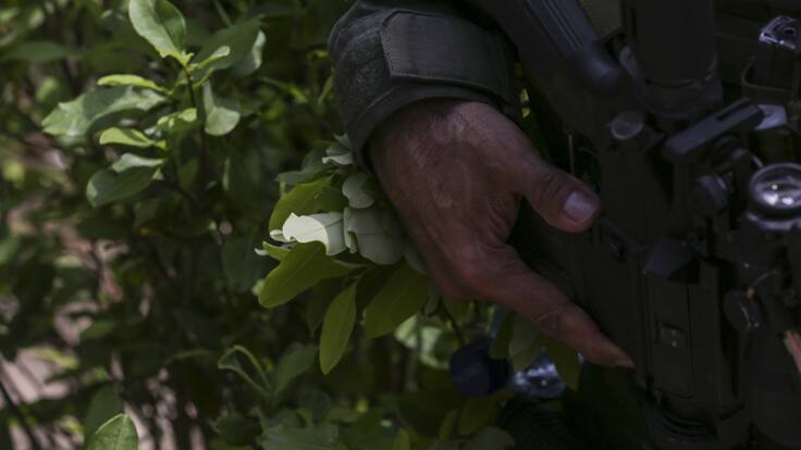 17 asesinados dejan enfrentamientos en Arauca