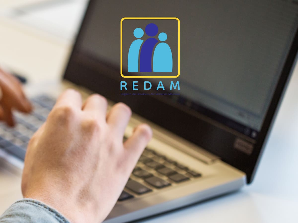 Paso a paso para solicitar y descargar certificado REDAM: Link y explicación