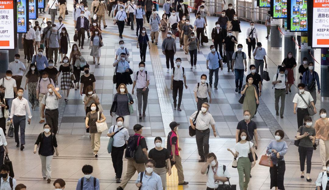 Imagen de referencia