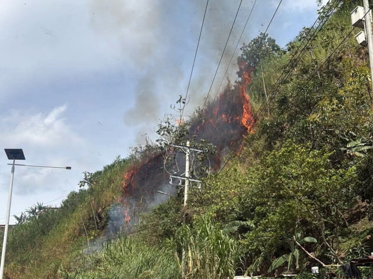 El Quindío en alerta por incendios forestales: 10 emergencias se han registrado en el departamento